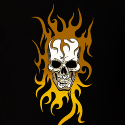 Cool Tribal Skull Fire Biker Rock MMA Boxing T Shirt 28658689