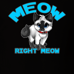 Meow Right Meow Funny Cat Kitten Parody Fan T Shirt 28849635