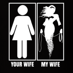 Your Wife My Wife Wonder Woman Princess Diana Funny Movie Parody T Shirt 31829107