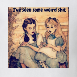 Alice And Dorothy I've Seen Some Weird Funny Parody Meme T Shirt 31950601