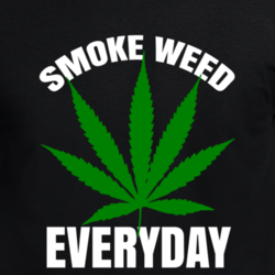 Smoke Weed Everyday Rap Rock Music Hemp Cool T Shirt 33206776