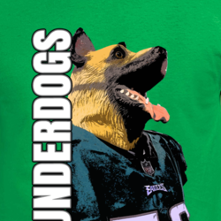 Philly Eagles Underdogs Football Super Fan Cool T Shirt 33231330