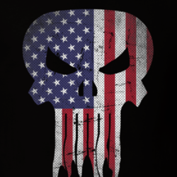Usa Punisher Flag Logo Parody Super Hero Cool Fan T Shirt 33259332