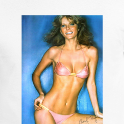 Cheryl Tiegs 80s Retro Pinup Poster Cool Fan T Shirt 33334761