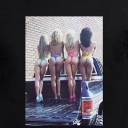 Haulin A$$ 80s Retro Pinup Poster Cool Fan T Shirt 33334762