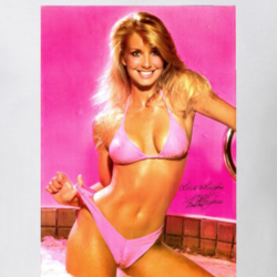 Heather Thomas 80s Retro Pinup Poster Cool Fall Guy Fan T Shirt 33334772