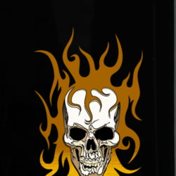 Cool Tribal Skull Fire Biker Rock Mma Boxing Phone Case 33375166