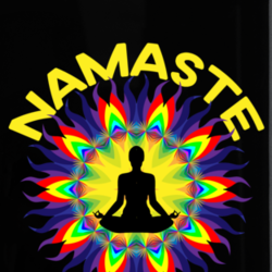 Namaste Yoga Gym Workout Fitness Phone Case 33382275