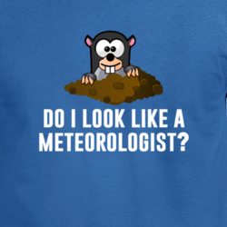Groundhog Day Meteorologist Funny Parody T Shirt 33480630