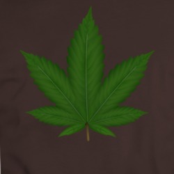 Weed Leaf Cannabis Marijuana Smoke Thc Cbd Fan T Shirt 34335001