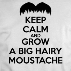 Keep Calm Grow A Moustache Funny Parody T Shirt 34425291