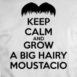 Keep Calm Grow A Moustacio Funny Italian Parody T Shirt 34439664