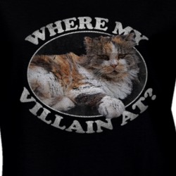 Where My Villain At Cat Lover Parody Funny T Shirt 34614749