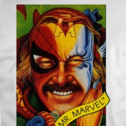 Stan Lee Legend Comic Book Creator Marvel Fan T Shirt 35164257