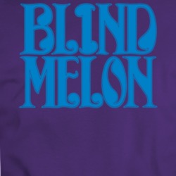 Blind Melon Rock Gods Alternative Alt Love 90s Bands Fan T Shirt 35199542
