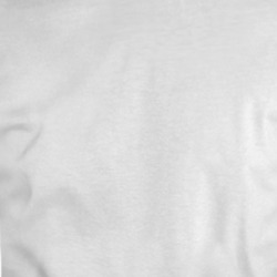 Blank T Shirt 35312090