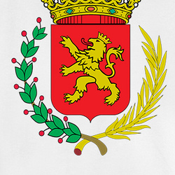 Spain coat of arms WORLD CHAMPIONS T Shirt 35371