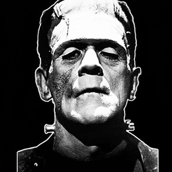 The Monster Frankenstein T Shirt 35401