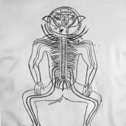 Nerves Body Persian Mma T Shirt 35416947