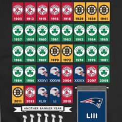Boston Fan T Shirt 35417014