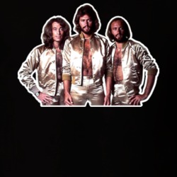 Bee Gees 70s disco t shirt 35652