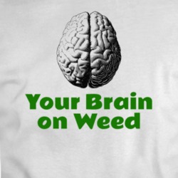Your Brain On Weed Funny T Shirt 35725358