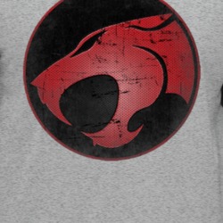 Thundercats Raglan T Shirt 35725474