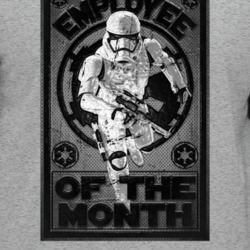 Employee Of The Month Parody Storm Trooper Star Wars Raglan T Shirt 35855052