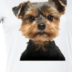 Cute Dog Lovers Funny Puppies Canine T Shirt 36088140