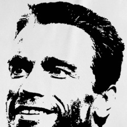 Arnold Schwarzenegger Actor Bodybuilding Govenor Hero T Shirt 36304686