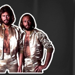 Bee Gees 70s Disco Mug 36545241