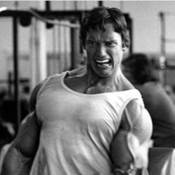 Arnold Schwarzenegger Gym Motivation Champion Legend T Shirt 36553968