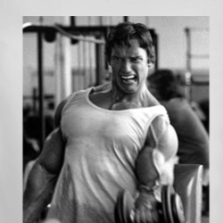 Arnold Schwarzenegger Gym Motivation Champion Legend Long Sleeve 36553972