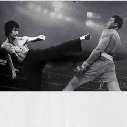 Bruce Lee Muhammad Ali Parody Fake Funny T Shirt 36557092