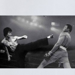 Bruce Lee Muhammad Ali Parody Fake Funny Phone Case 36557096