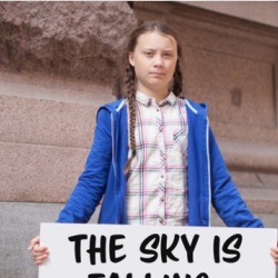 The Sky Is Falling Funny Parody Greta Thunberg Climate Change T Shirt 36571164