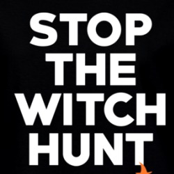 Stop The Witch Hunt President Trump Usa Ladies T Shirt 36582148