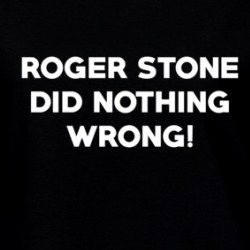 Roger Stone Did Nothing Wrong Usa Politics Ladies T Shirt 36585205