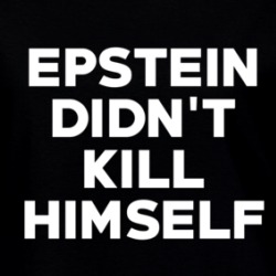 Epstein Didn't Kill Himself Scandal Ladies T Shirt 36585207