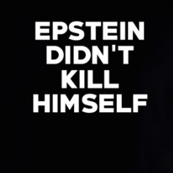 Epstein Didn't Kill Himself Scandal Hoodie 36585208