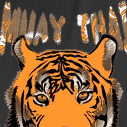 Muay Thai Mma Training T Shirt 36588424