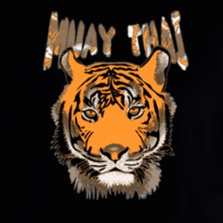 Muay Thai Mma Training Hoodie 36588425