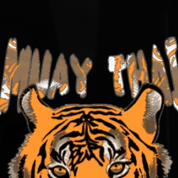 Muay Thai Mma Training Phone Case 36588426