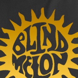 Blind Melon Rock Music 90s Grunge Fan T Shirt 36609359