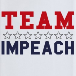 Team Impeach Liberal Democrat Usa American Politics Support Phone Case 36641074