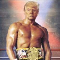Donald Tump Rocky Parody Funny Usa Republican T Shirt 36971545