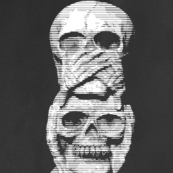 Speak No Evil Hear No Evil See No Evil Wise Skulls Parody Monkeys T Shirt 36972118