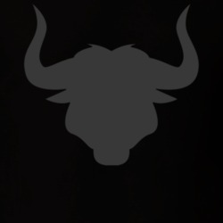 Bull Horns Trending Funny Steer Fan T Shirt 37148075