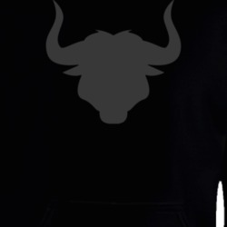 Bull Horns Trending Funny Steer Fan Hoodie 37148077