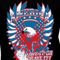 American Pride Freedom Love It Eagle Usa Ladies T Shirt 37162403
